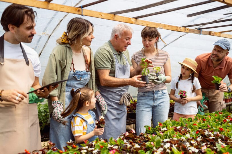 Small business owner, a Caucasian senior man, having an working day with family at the flower greenhouse